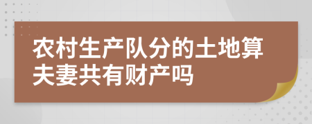 农村生产队分的土地算夫妻共有财产吗