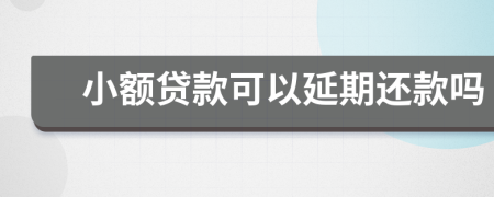 小额贷款可以延期还款吗