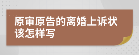 原审原告的离婚上诉状该怎样写