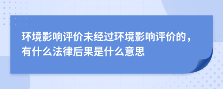 环境影响评价未经过环境影响评价的，有什么法律后果是什么意思