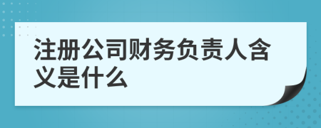 注册公司财务负责人含义是什么