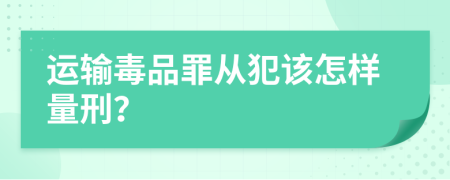 运输毒品罪从犯该怎样量刑？