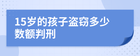 15岁的孩子盗窃多少数额判刑