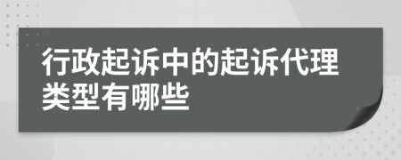 行政起诉中的起诉代理类型有哪些