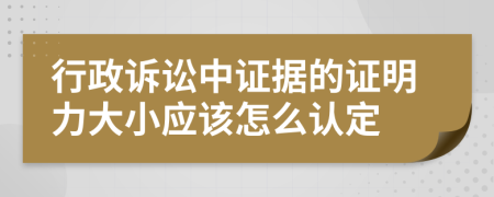 行政诉讼中证据的证明力大小应该怎么认定