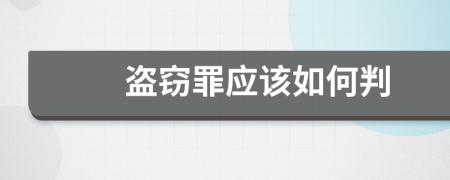 盗窃罪应该如何判