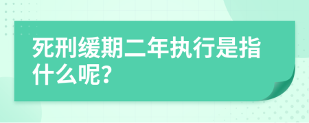 死刑缓期二年执行是指什么呢？