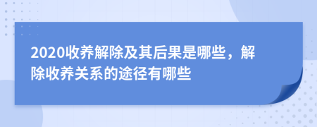 2020收养解除及其后果是哪些，解除收养关系的途径有哪些