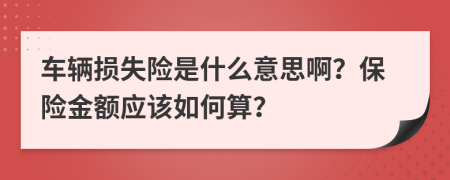 车辆损失险是什么意思啊？保险金额应该如何算？