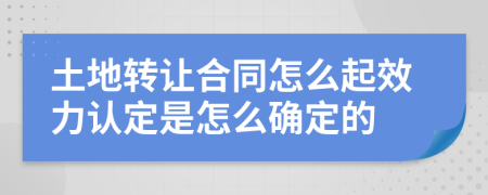 土地转让合同怎么起效力认定是怎么确定的