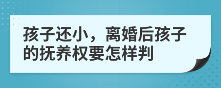 孩子还小，离婚后孩子的抚养权要怎样判