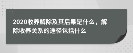 2020收养解除及其后果是什么，解除收养关系的途径包括什么