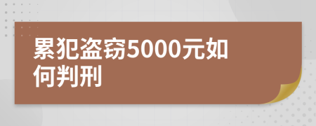 累犯盗窃5000元如何判刑