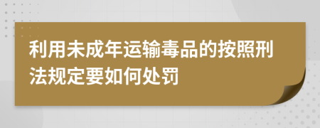 利用未成年运输毒品的按照刑法规定要如何处罚