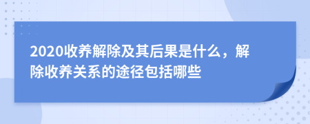 2020收养解除及其后果是什么，解除收养关系的途径包括哪些