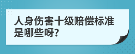 人身伤害十级赔偿标准是哪些呀？