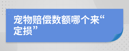 宠物赔偿数额哪个来“定损”