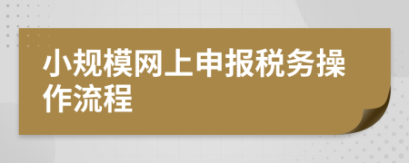 小规模网上申报税务操作流程