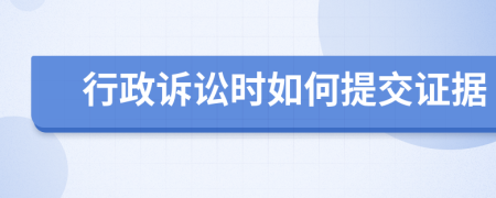 行政诉讼时如何提交证据