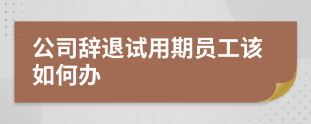 公司辞退试用期员工该如何办