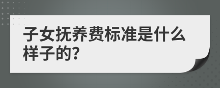子女抚养费标准是什么样子的？