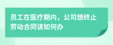 员工在医疗期内，公司想终止劳动合同该如何办