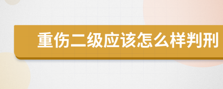 重伤二级应该怎么样判刑