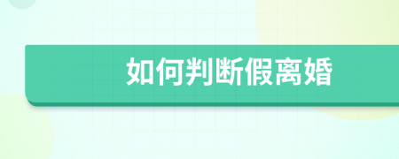 如何判断假离婚