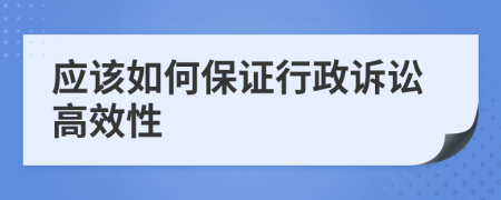 应该如何保证行政诉讼高效性