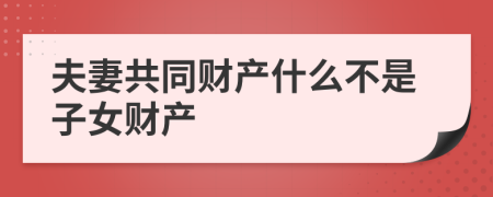 夫妻共同财产什么不是子女财产