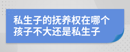 私生子的抚养权在哪个孩子不大还是私生子