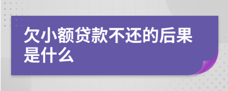 欠小额贷款不还的后果是什么