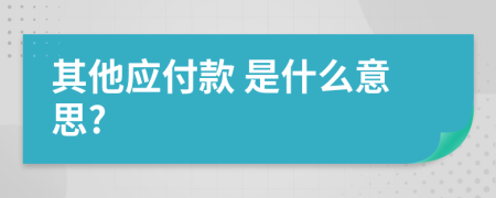  其他应付款 是什么意思?