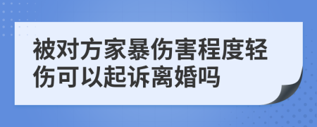 被对方家暴伤害程度轻伤可以起诉离婚吗