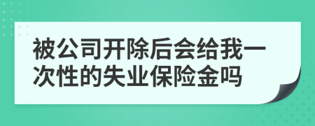 被公司开除后会给我一次性的失业保险金吗