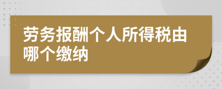 劳务报酬个人所得税由哪个缴纳
