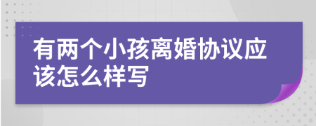 有两个小孩离婚协议应该怎么样写