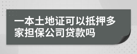 一本土地证可以抵押多家担保公司贷款吗