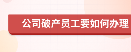 公司破产员工要如何办理