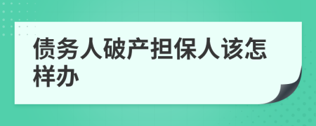 债务人破产担保人该怎样办