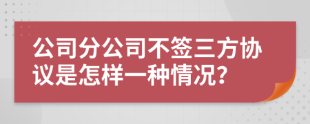 公司分公司不签三方协议是怎样一种情况？