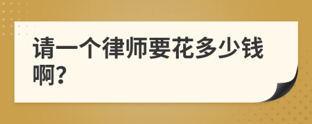 请一个律师要花多少钱啊？