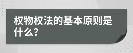 权物权法的基本原则是什么？