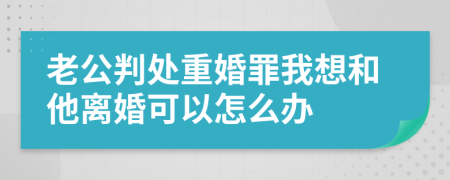 老公判处重婚罪我想和他离婚可以怎么办