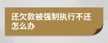 还欠款被强制执行不还怎么办