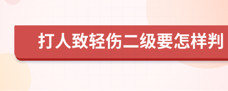 打人致轻伤二级要怎样判