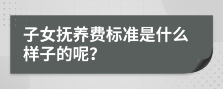 子女抚养费标准是什么样子的呢？