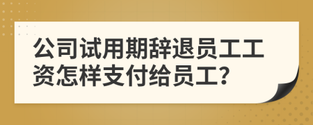 公司试用期辞退员工工资怎样支付给员工？
