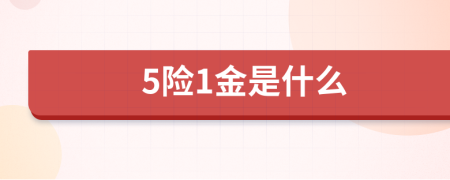 5险1金是什么