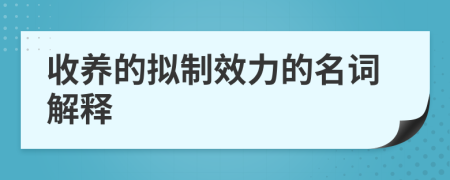 收养的拟制效力的名词解释